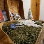 Edinger Apartman Söll
