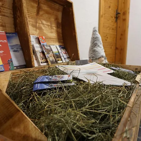 Edinger 公寓 瑟尔