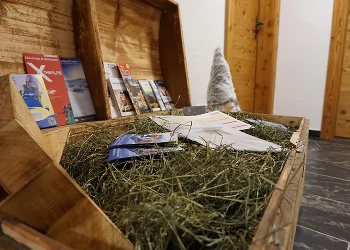 Edinger Appartamento Söll